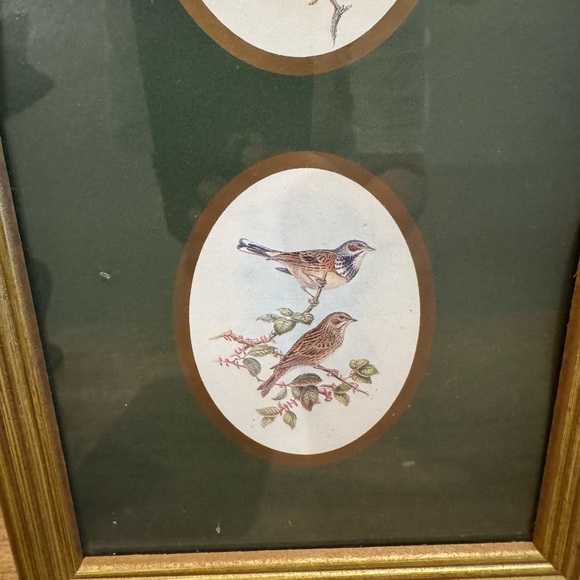 Unbranded Bird Prints Wall Decor with Beautiful Framed&Glass - Picture 4 of 9